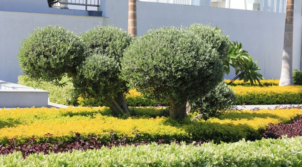 Professional Landscaping for Indoor & Outdoor Spaces
