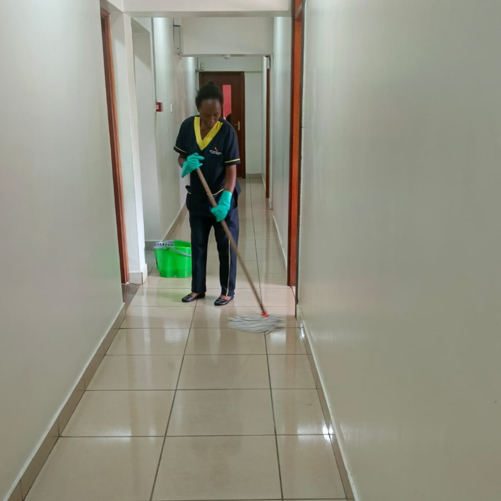 Professional Cleaning & Hygiene Solutions