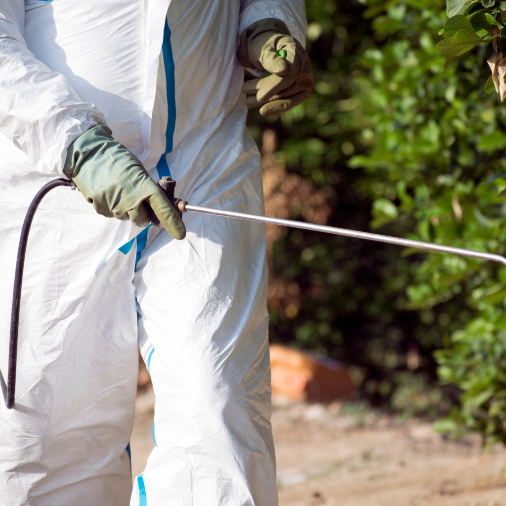 Pest Control & Fumigation Services