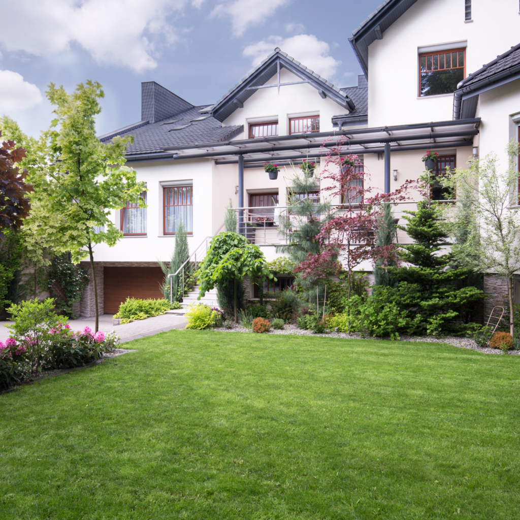 Professional Landscaping for Indoor & Outdoor Spaces
