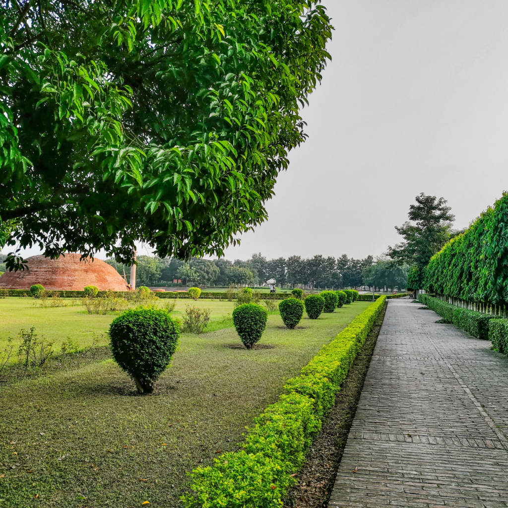 Landscaping Services