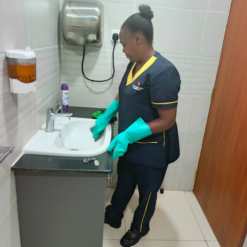 Professional Cleaning & Hygiene Solutions