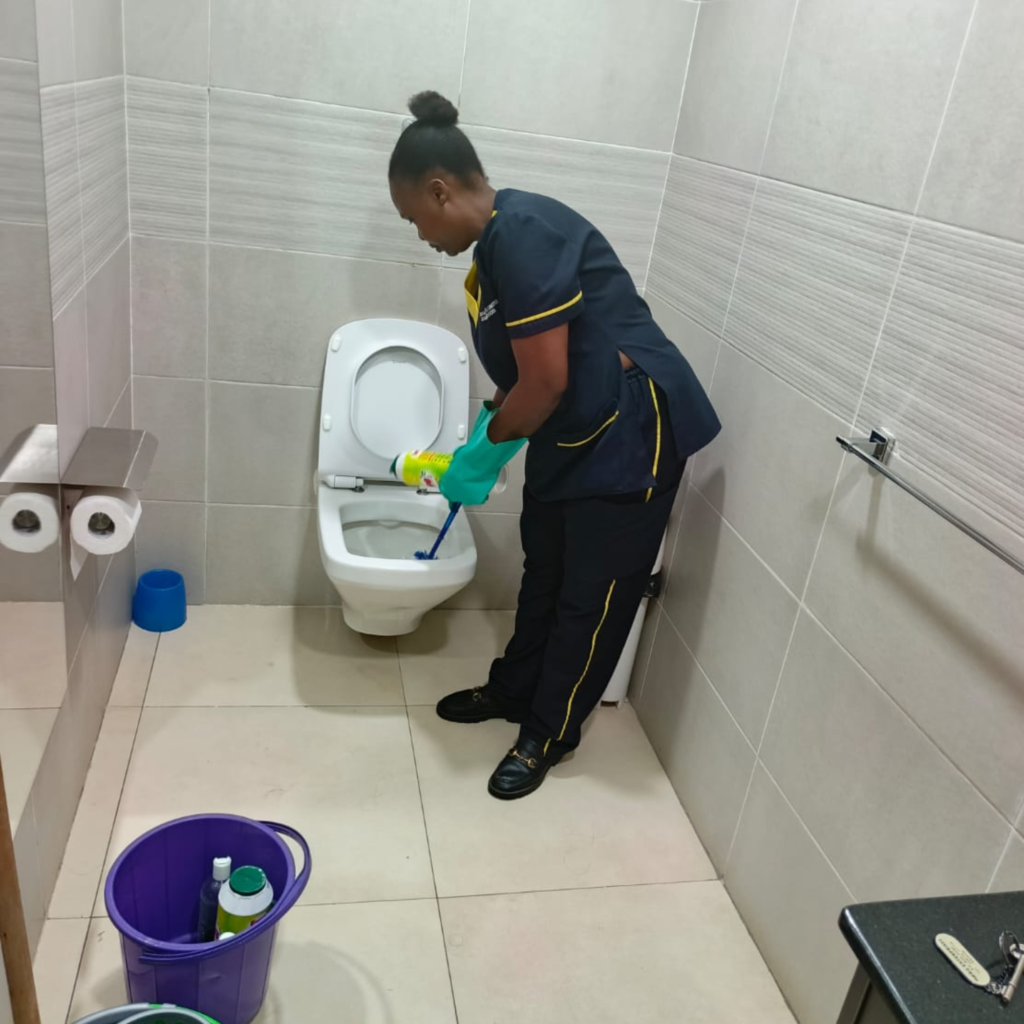 Professional Cleaning & Hygiene Solutions
